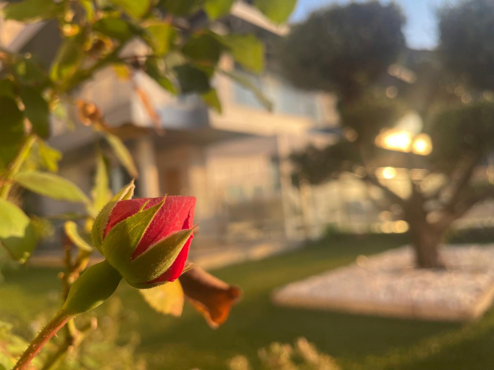 Altos De Finestrat Villa Luaran gambar